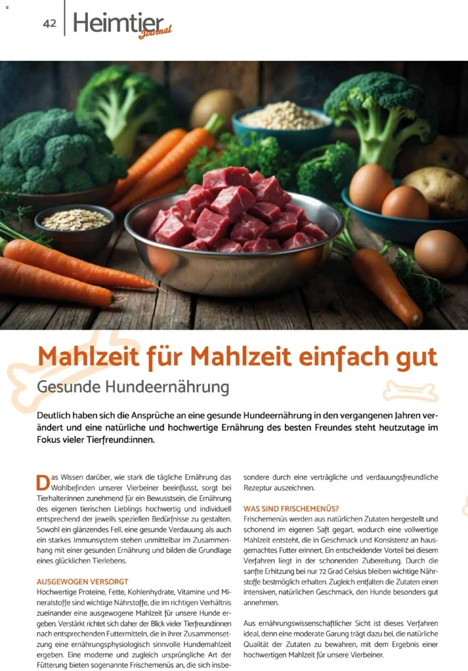zookauf Heimtier Journal – gültig ab 01.07.2026 | Seite: 42 | Produkte: Saft