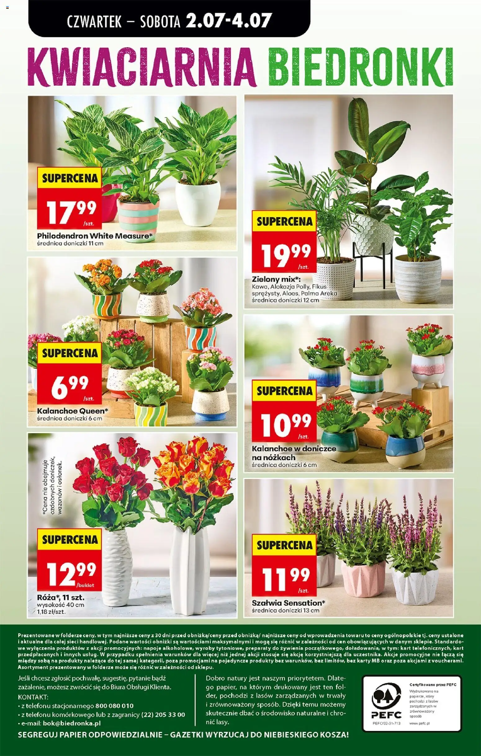 Biedronka Polsko leták - Codziennie niskie ceny od 02.07.2026 | Strana: 80 | Produkty: Kalanchoe, Karty