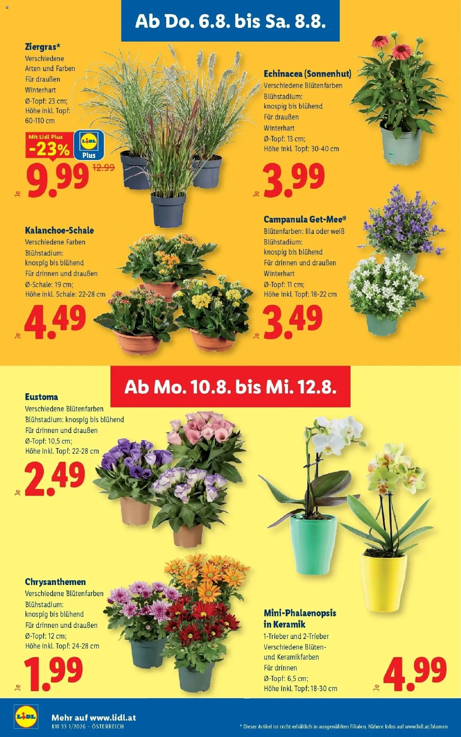 Lidl Flugblatt - Wien, Langenzersdorf, Zwettl ab 06.08.2026 - Angebote ab donnerstag | Seite: 29