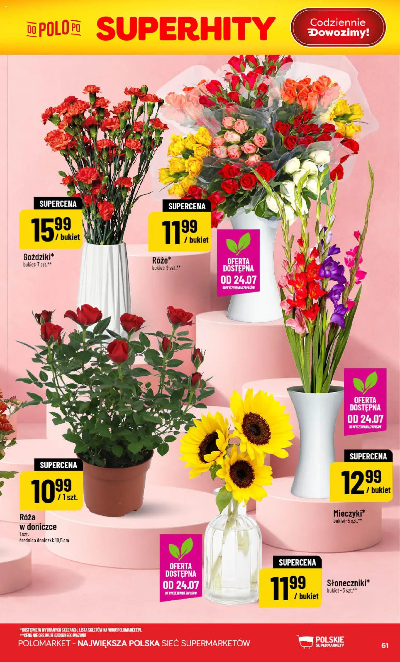 POLOmarket gazetka od 22.07.2026 | Strona: 61 | Produkty: Doniczki