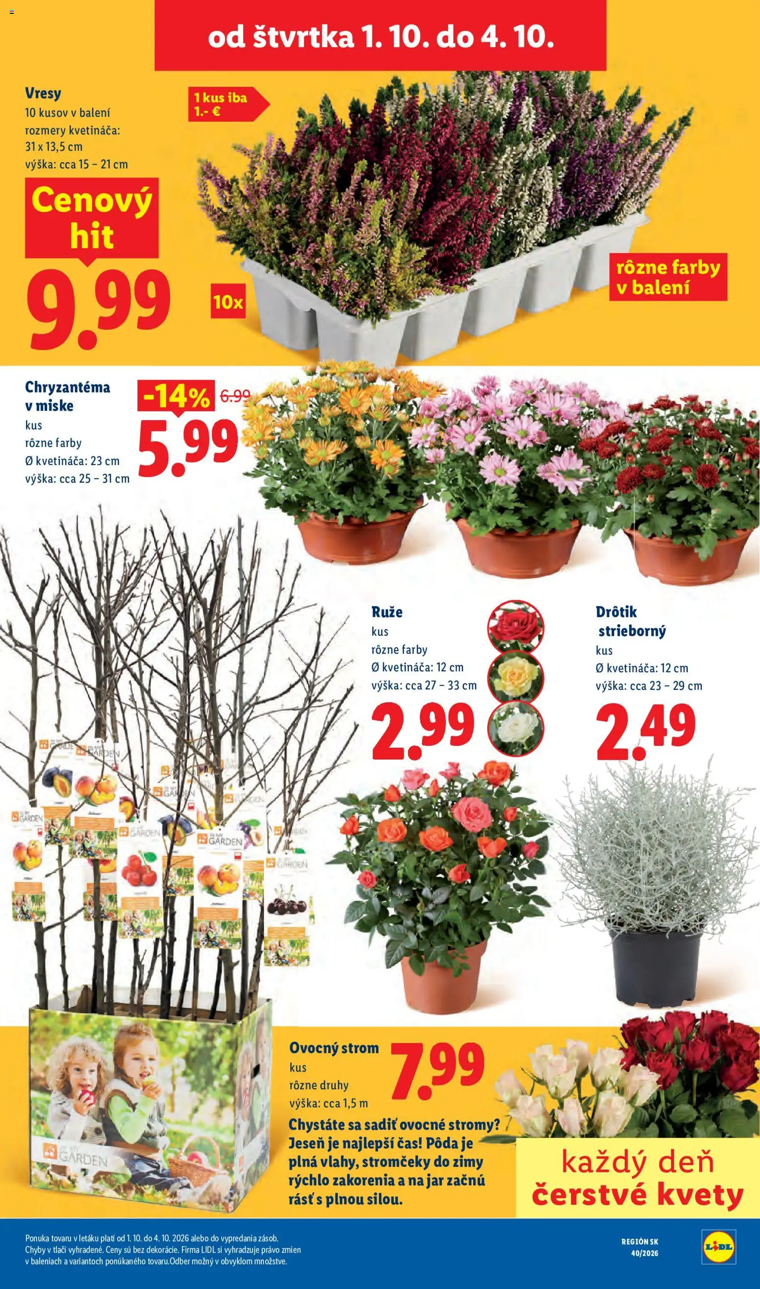 Nové Lidl akcie – leták je platný od 28.09.2026 | Strana: 81