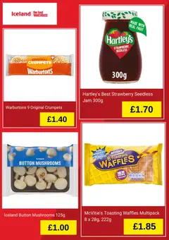 Preview of Iceland - Spring sale valid from 05.05.2026 | Page: 4 | Products: Peinture à l'aquarelle, Waffles, Mushrooms, Strawberry