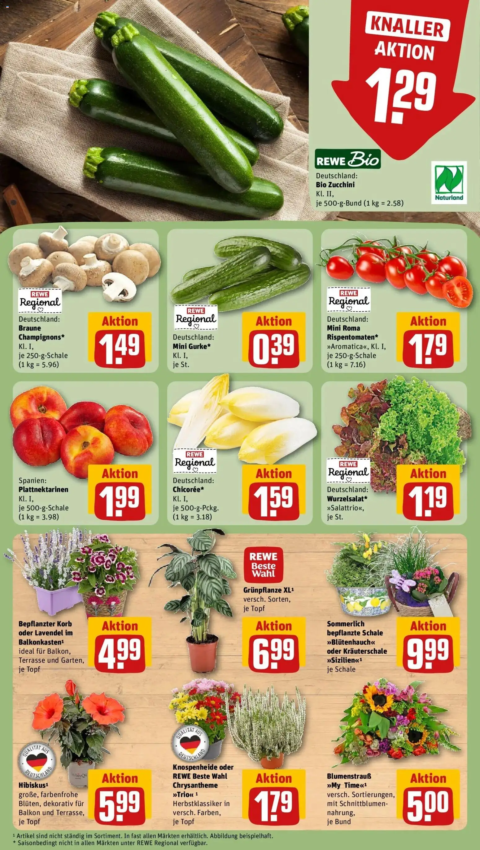 REWE Prospekt ab 17.08.2026 zum Blättern » Angebote | Seite: 9 | Produkte: Korb, Zucchini, Lavendel