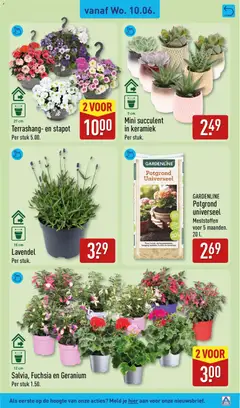 Aldi folder week 24 - Voorbeeld van een folder van Aldi, geldig van 08.06.2026 | Pagina: 31 | Producten: Keramiek