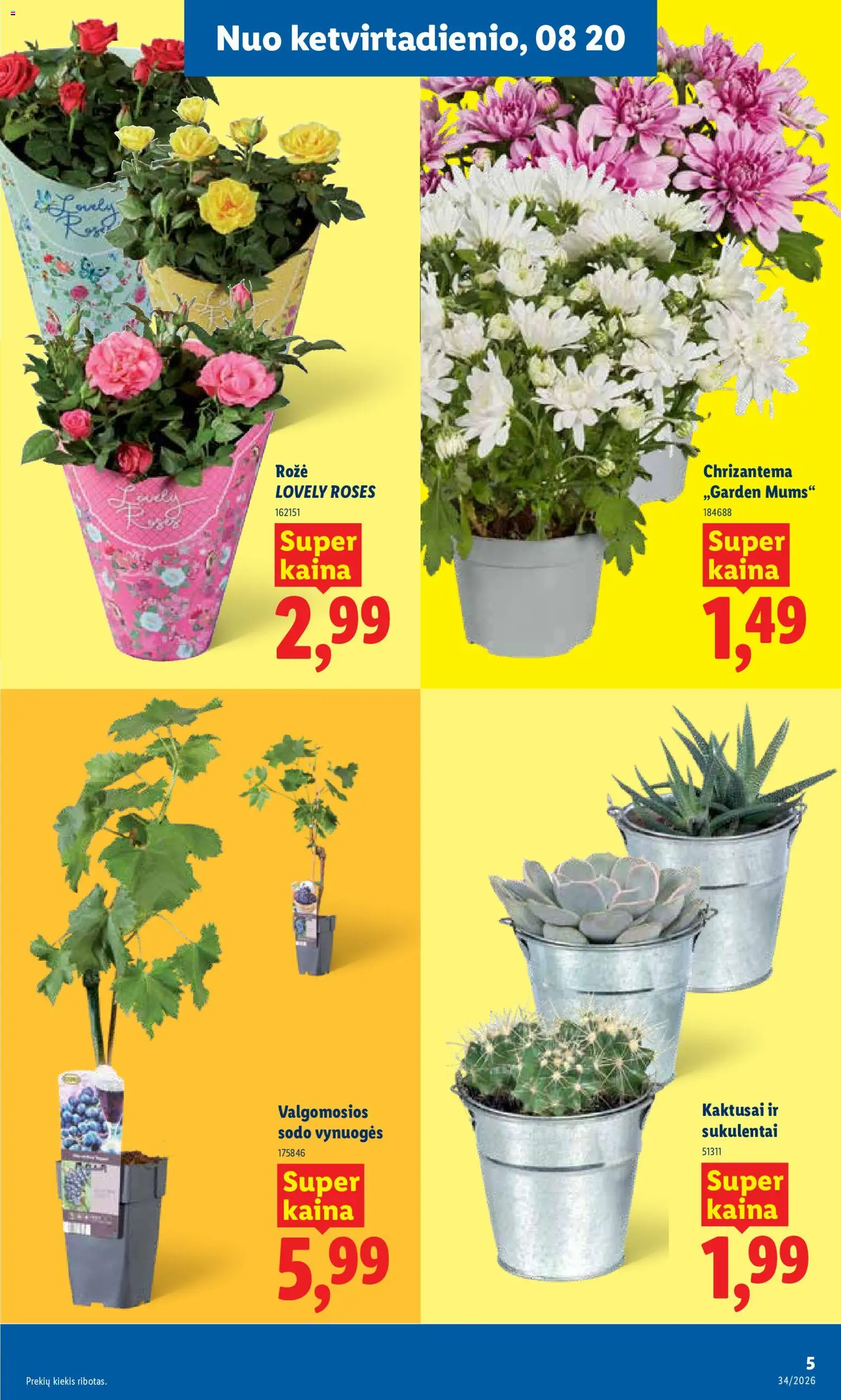 LIDL akcijos nuo 2026.08.17 | Puslapis: 5 | Prekių: Vynuogės