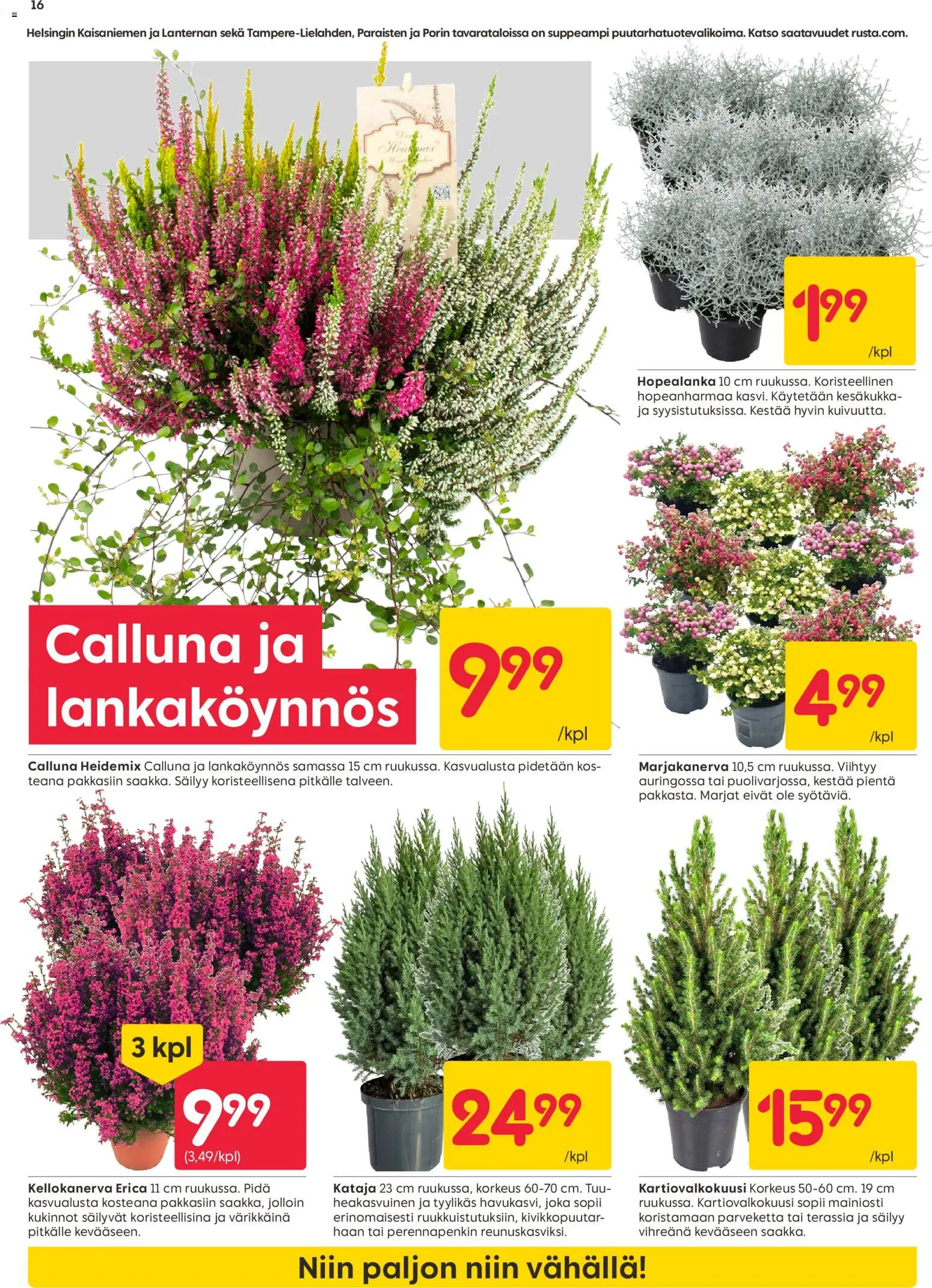 Rusta tarjoukset – voimassa 14/09/2026 alkaen | Sivu: 16
