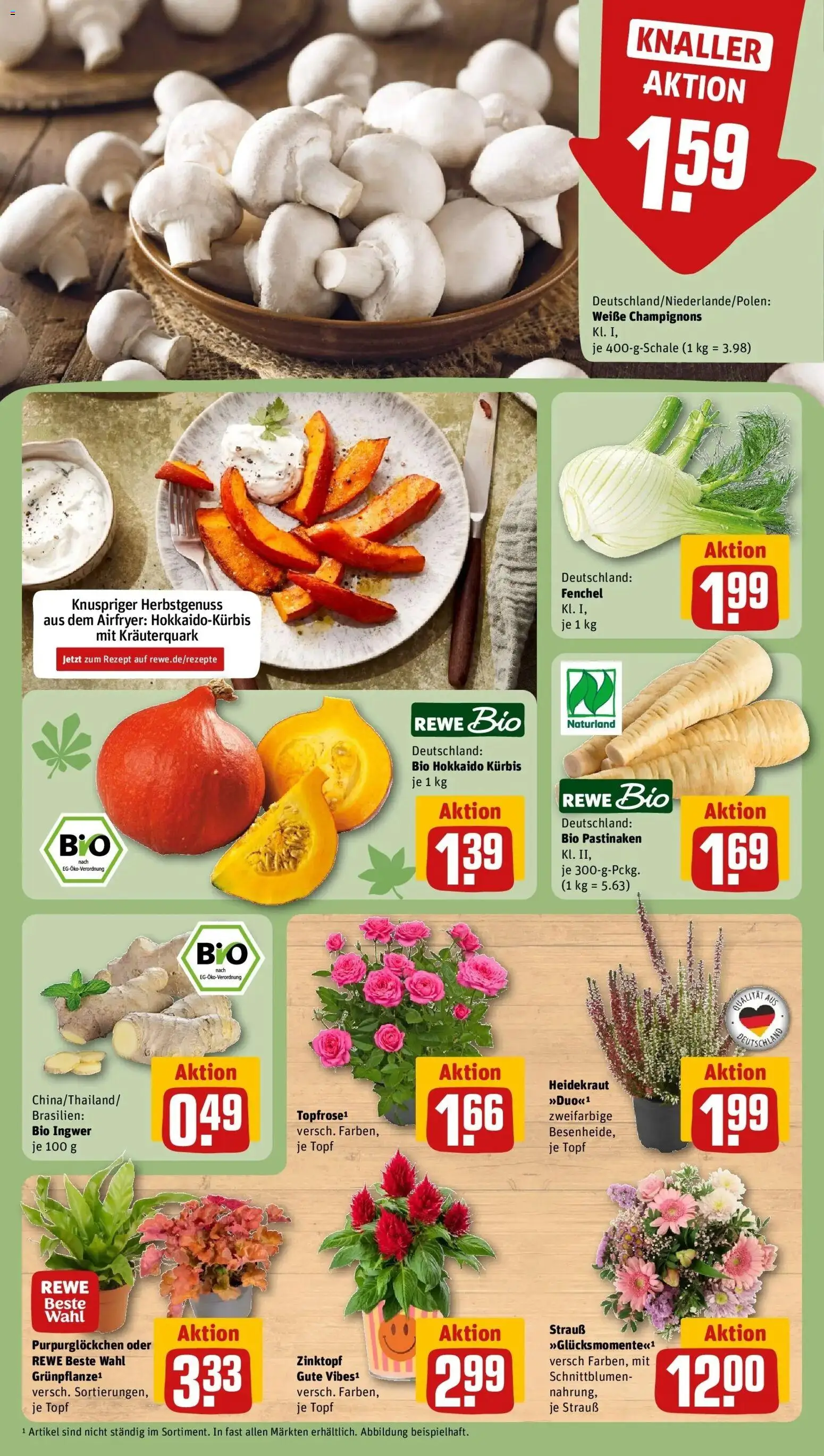REWE Prospekt ab 28.09.2026 zum Blättern » Angebote | Seite: 13 | Produkte: Champignons, Kürbis