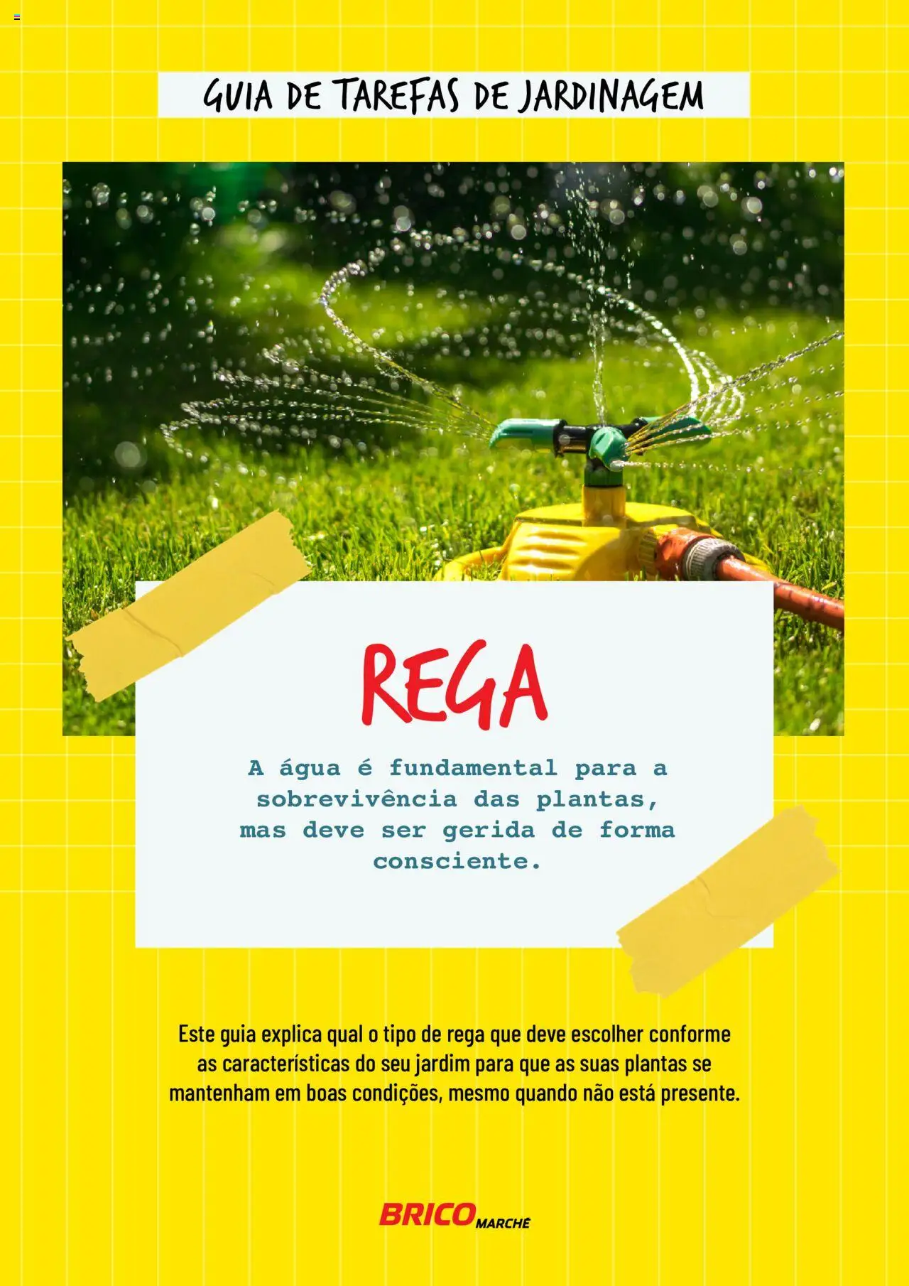 BricoMarché Rega │ válido de 17/01/2024 | Página: 1