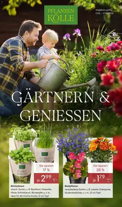 Pflanzen-Kölle Prospekt Gärtnern & Genießen ab 11.05.2026 gültig