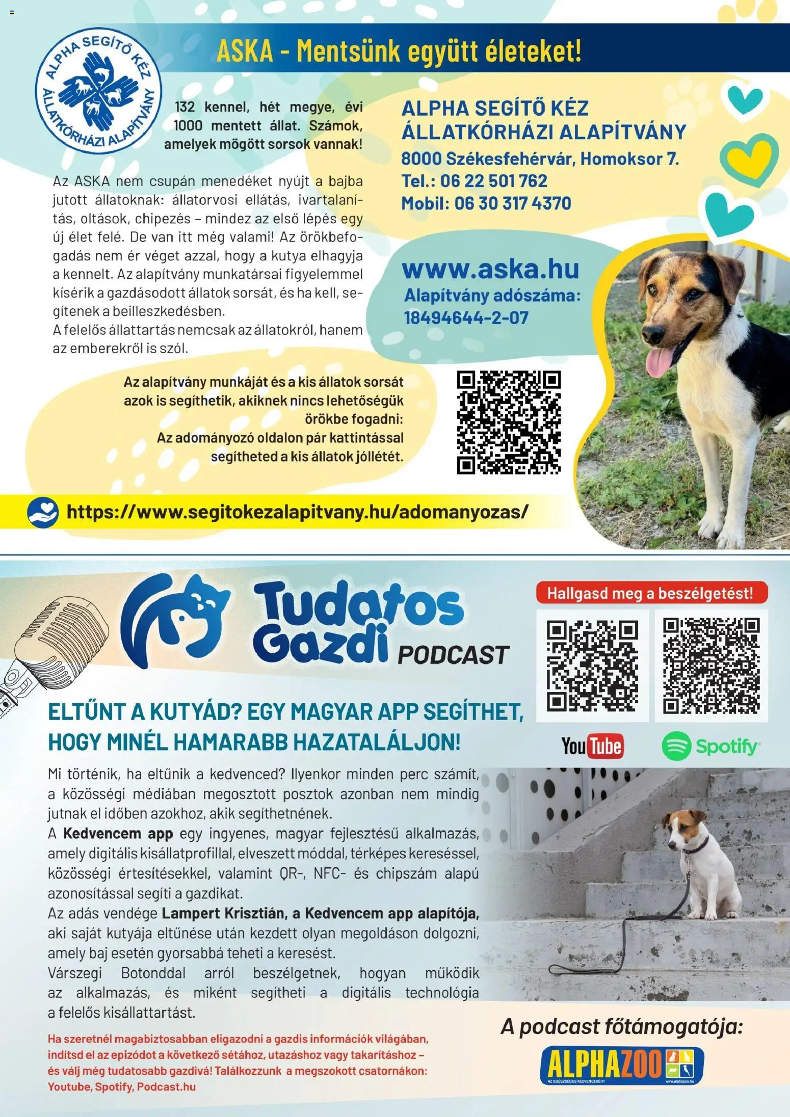 AlphaZoo akciós ujság - amely érvényes a következő dátumtól: 2026.10.08. | Oldal: 26 | Termékek: Kés