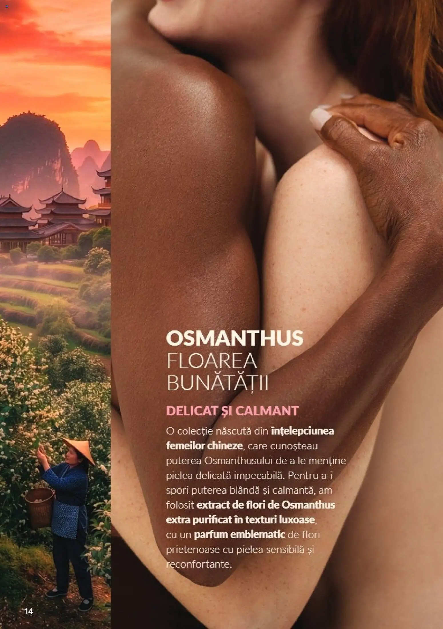 Noul catalog Avon – valabil de la 01.10.2026 | Pagină: 14 | Produse: Parfum, Flori