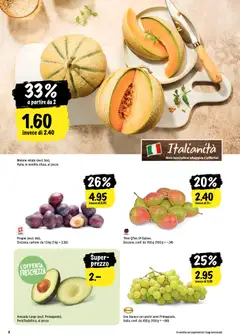 Melone retato (escl. bio), Melone retato (escl. bio), Italia, in vendita sfusa, al pezzo ab 20.08.2026 gültig | Seite: 2 | Produkte: Avocado, Melone