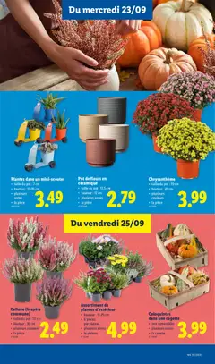 Lidl Folder semaine Folder week 39 - Voorbeeld van een folder van Lidl, geldig van 21/09/2026 | Pagina: 19 | Producten: La, Squash, Pot