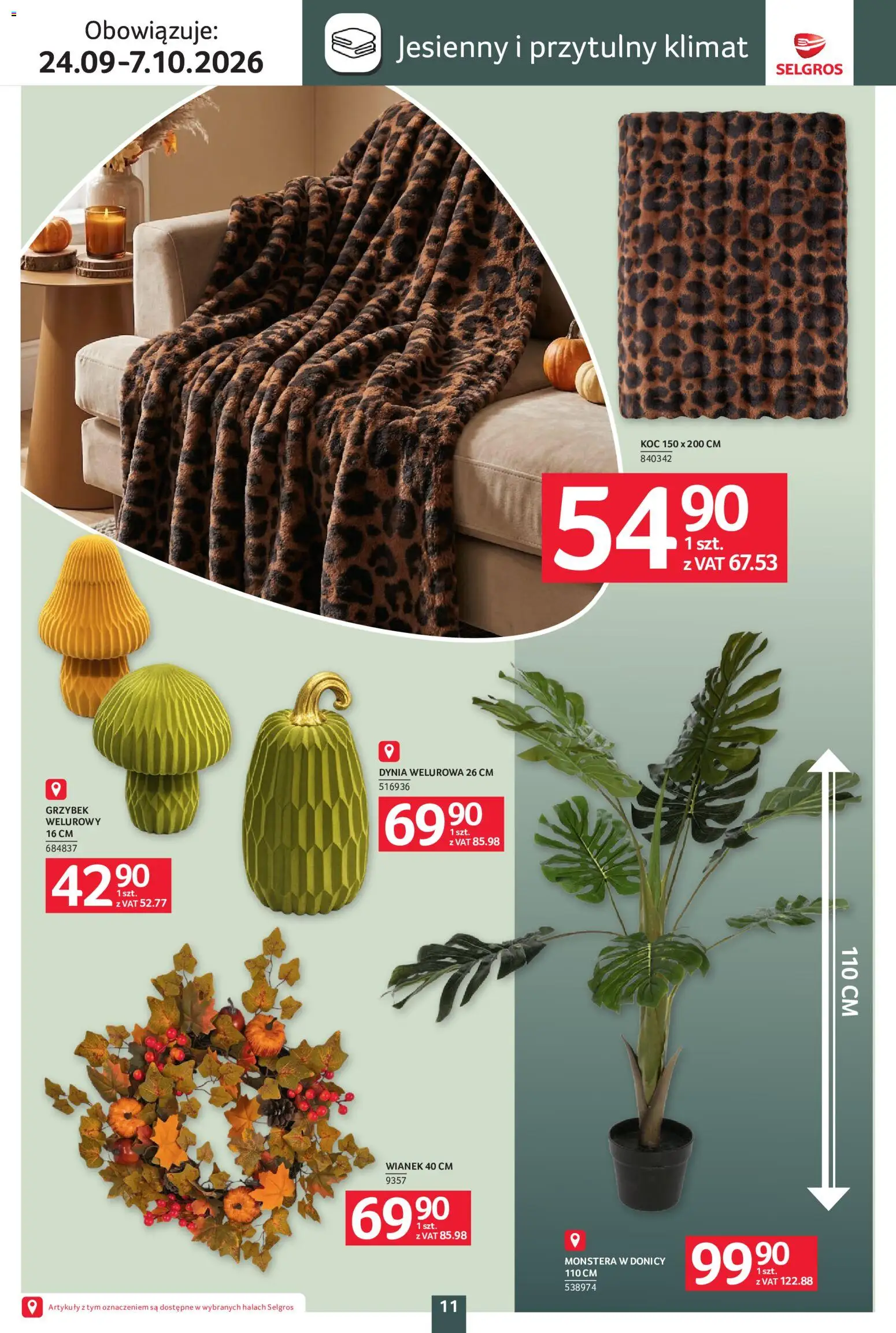 Selgros cash&carry gazetka - Home deco od 24.09.2026 | Strona: 11 | Produkty: Dynia, Koc