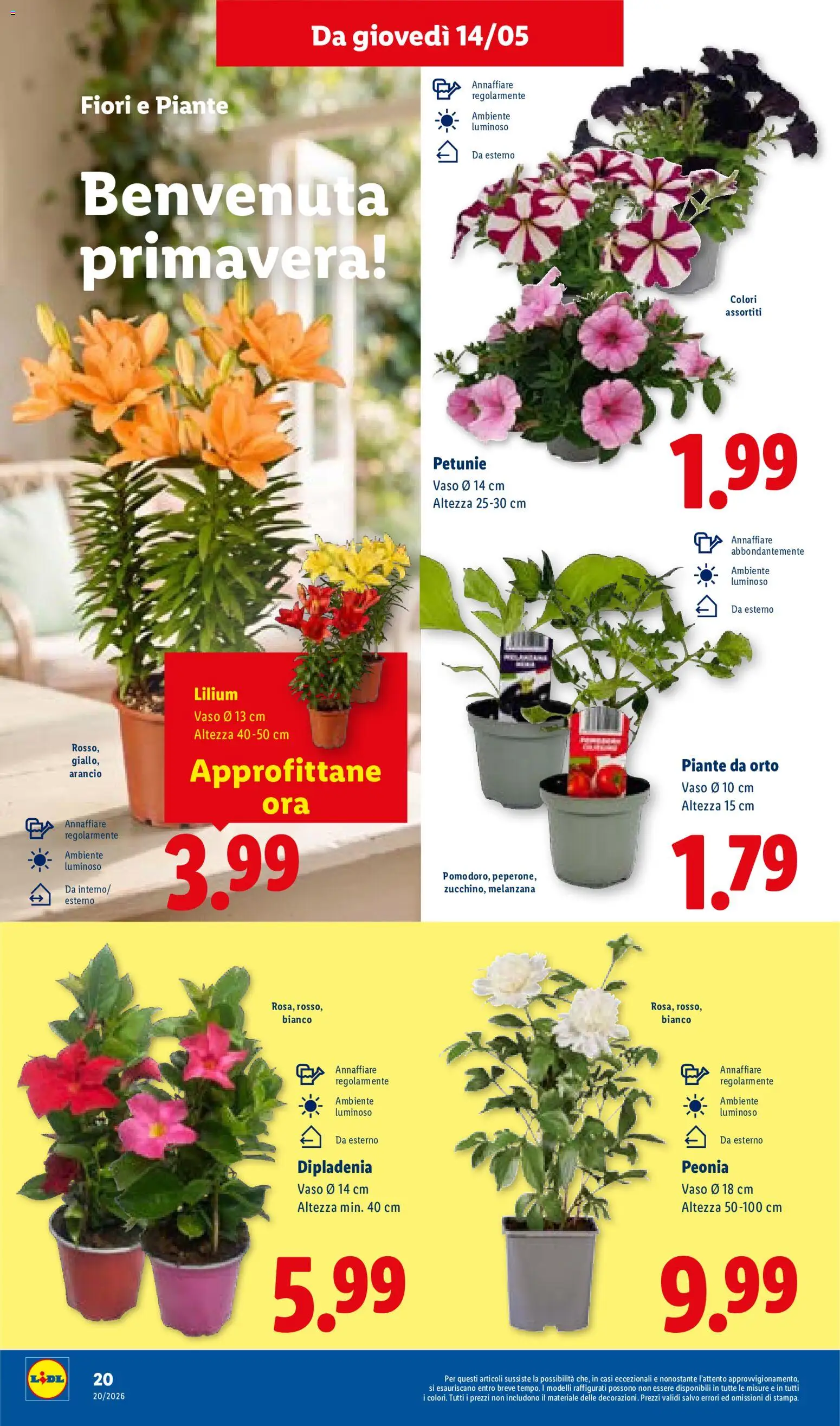Volantino Lidl del 14.05.2026 | Pagina: 28