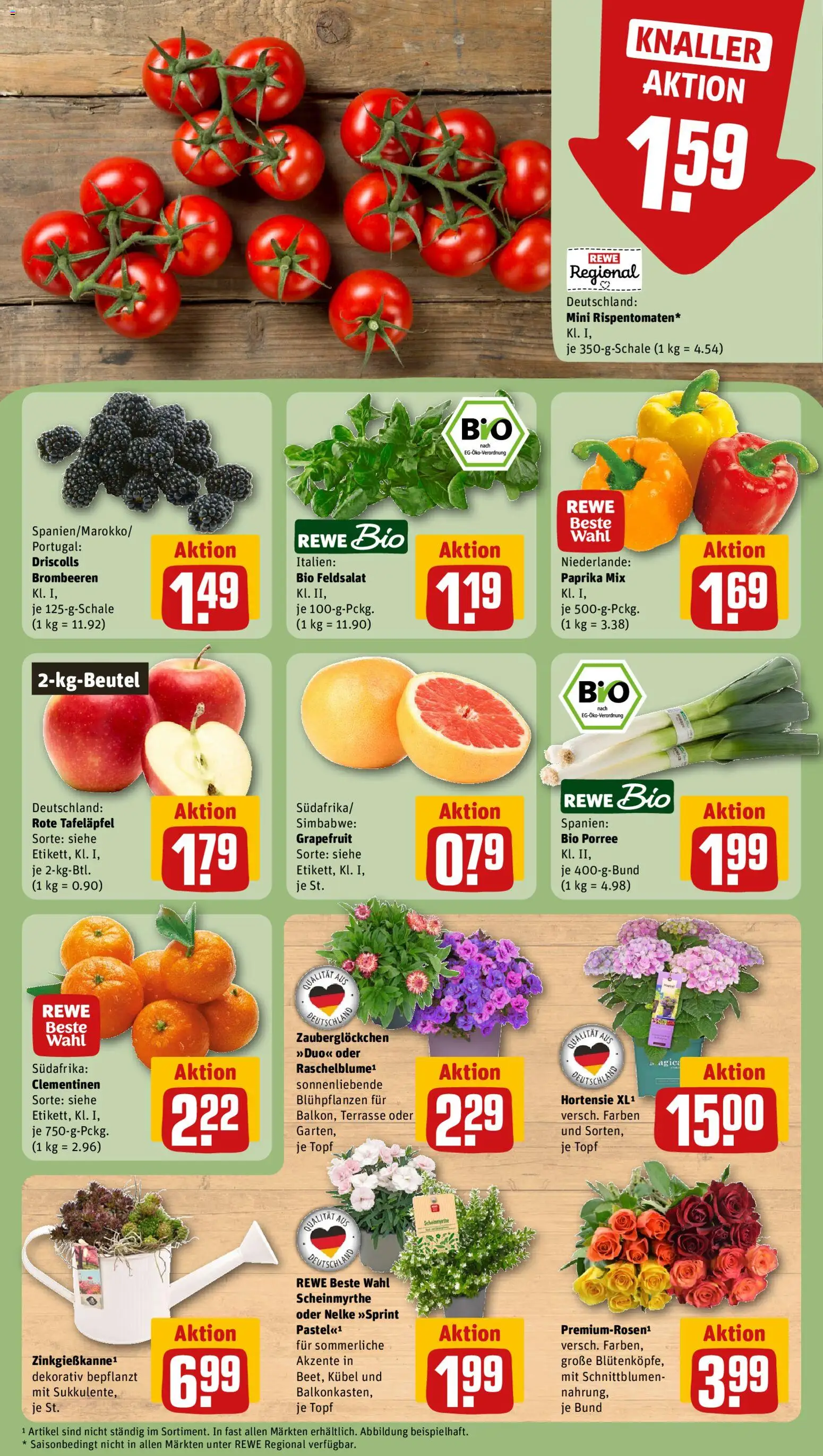 Rewe Prospekt – gültig ab 22.06.2026 | Seite: 9