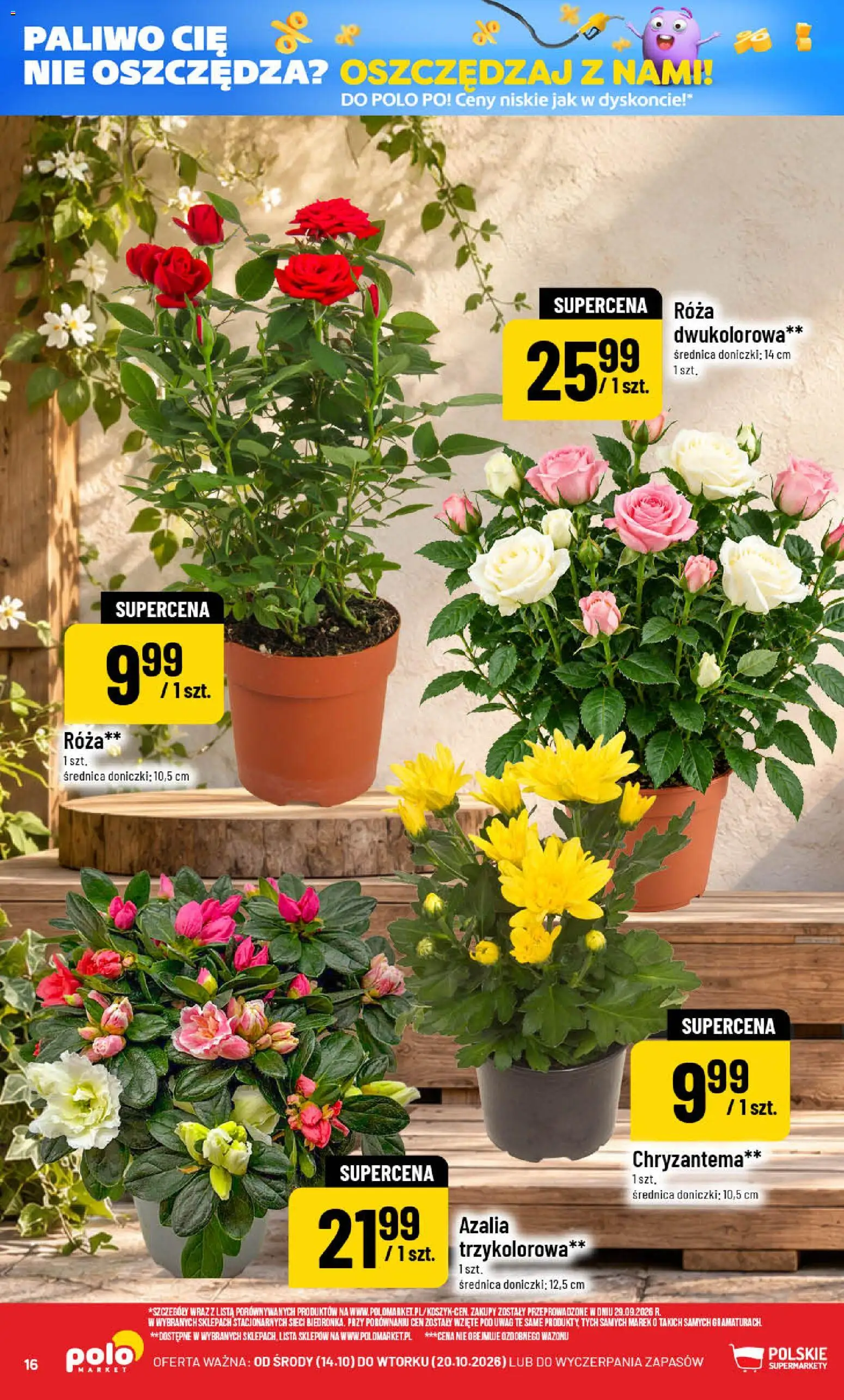 POLOmarket gazetka od 14.10.2026 | Strona: 16