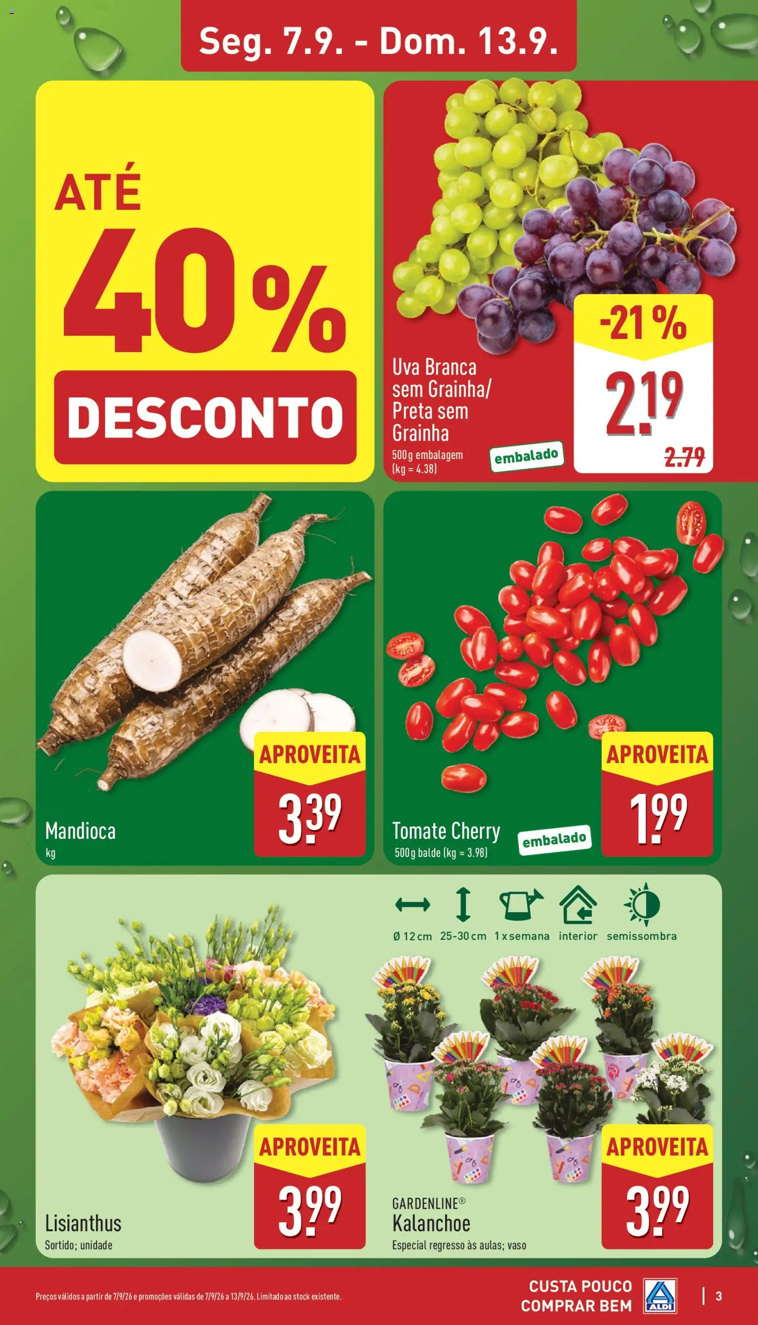 Aldi folheto │ válido de 07/09/2026 | Página: 3