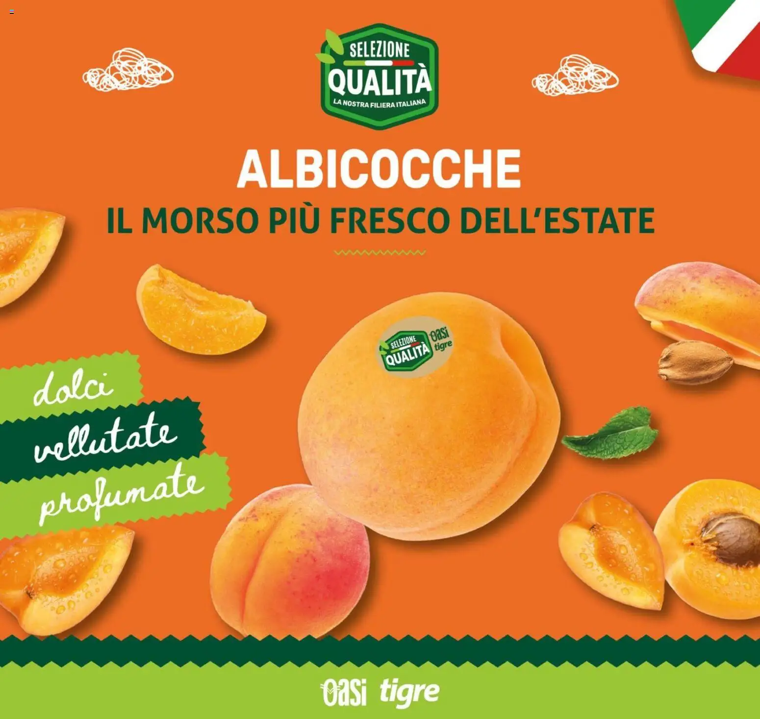 Volantino Tigre del 16/07/2026 | Pagina: 11 | Prodotti: Albicocche