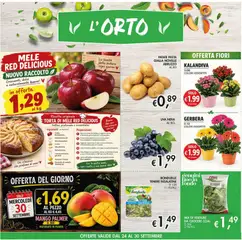 Anteprima del volantino Coal volantino valido a partire dal 24/09/2026 | Pagina: 8