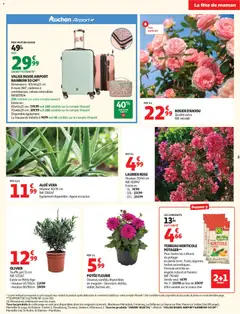 Auchan - Prévisualisation de Auchan prospectus valide à partir de 19.05.2026 | Page: 5