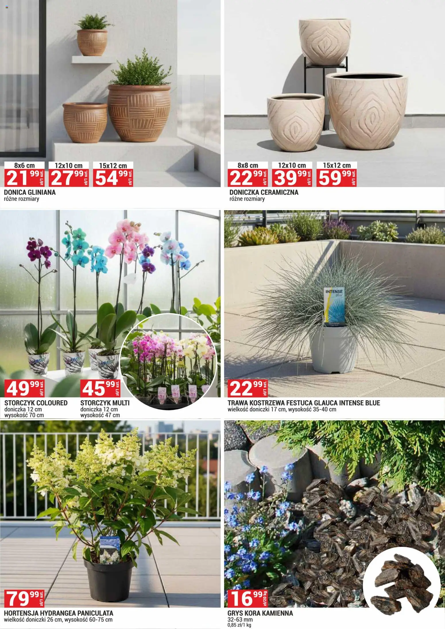 Merkury Market gazetka - Ogród od 01.07.2026 | Strona: 5 | Produkty: Doniczka, Doniczki, Storczyk