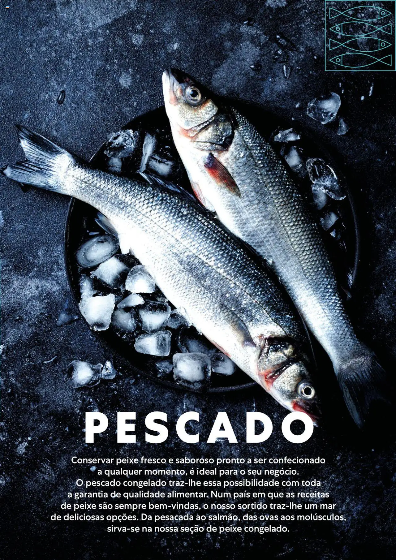Recheio - Congelados do Mar e da Terra │ válido de 14/07/2025 | Página: 13 | Produtos: Peixe