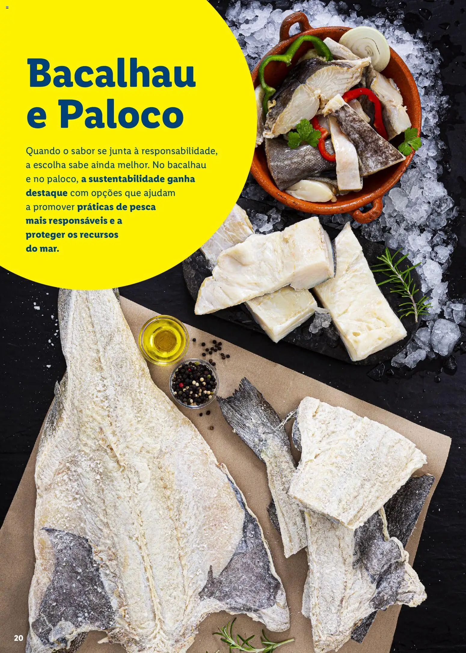 Lidl Feira do Mar │ válido de 07.05.2026 | Página: 20