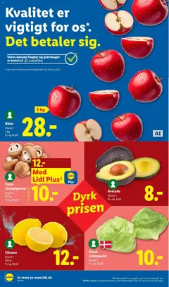 Avocado, Avocado Klasse 1. gyldig fra 13/09/2026 | Side: 2