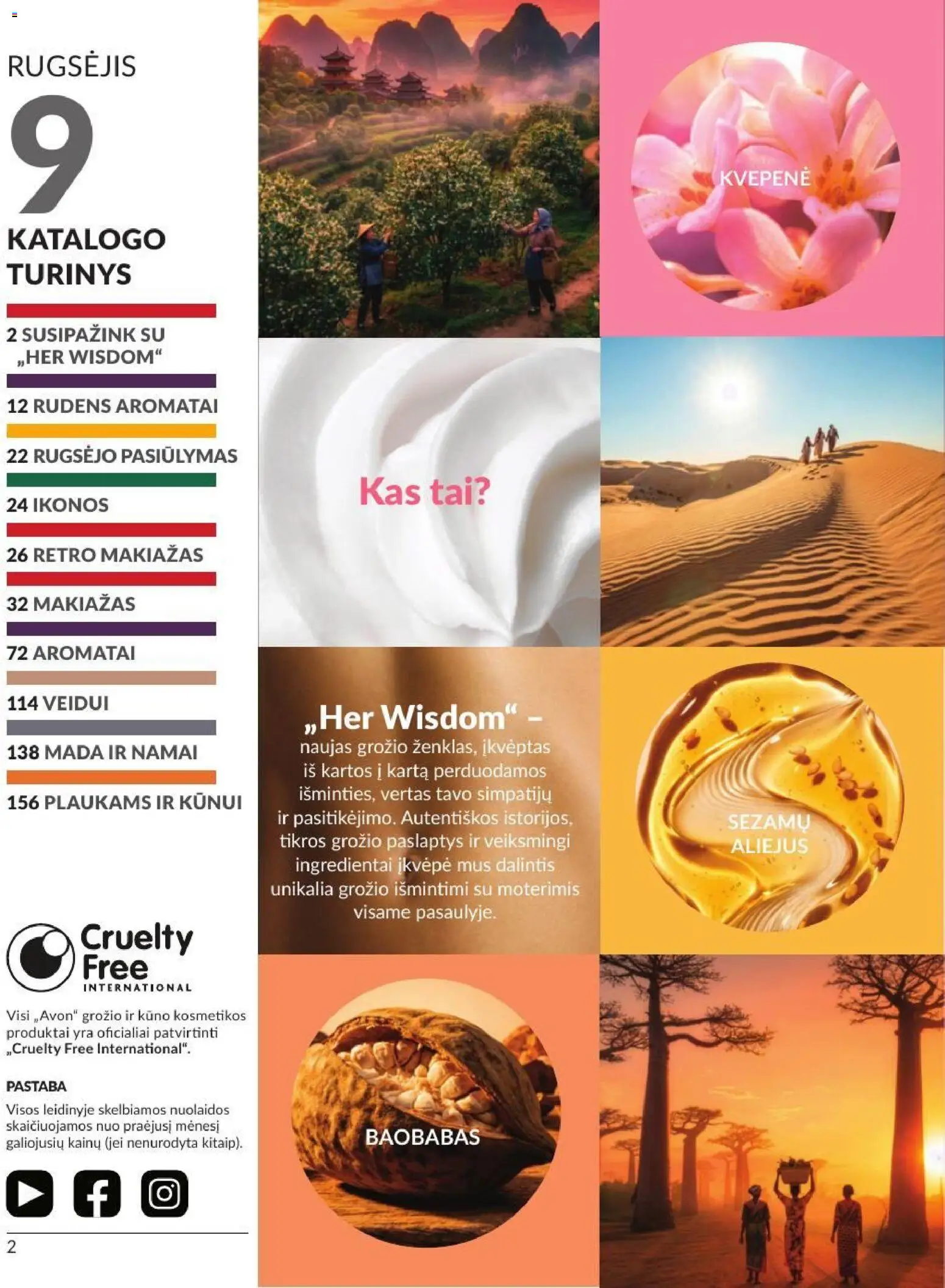 AVON akcijos nuo 2026.09.01 | Puslapis: 2 | Prekių: Makiažas, Aliejus