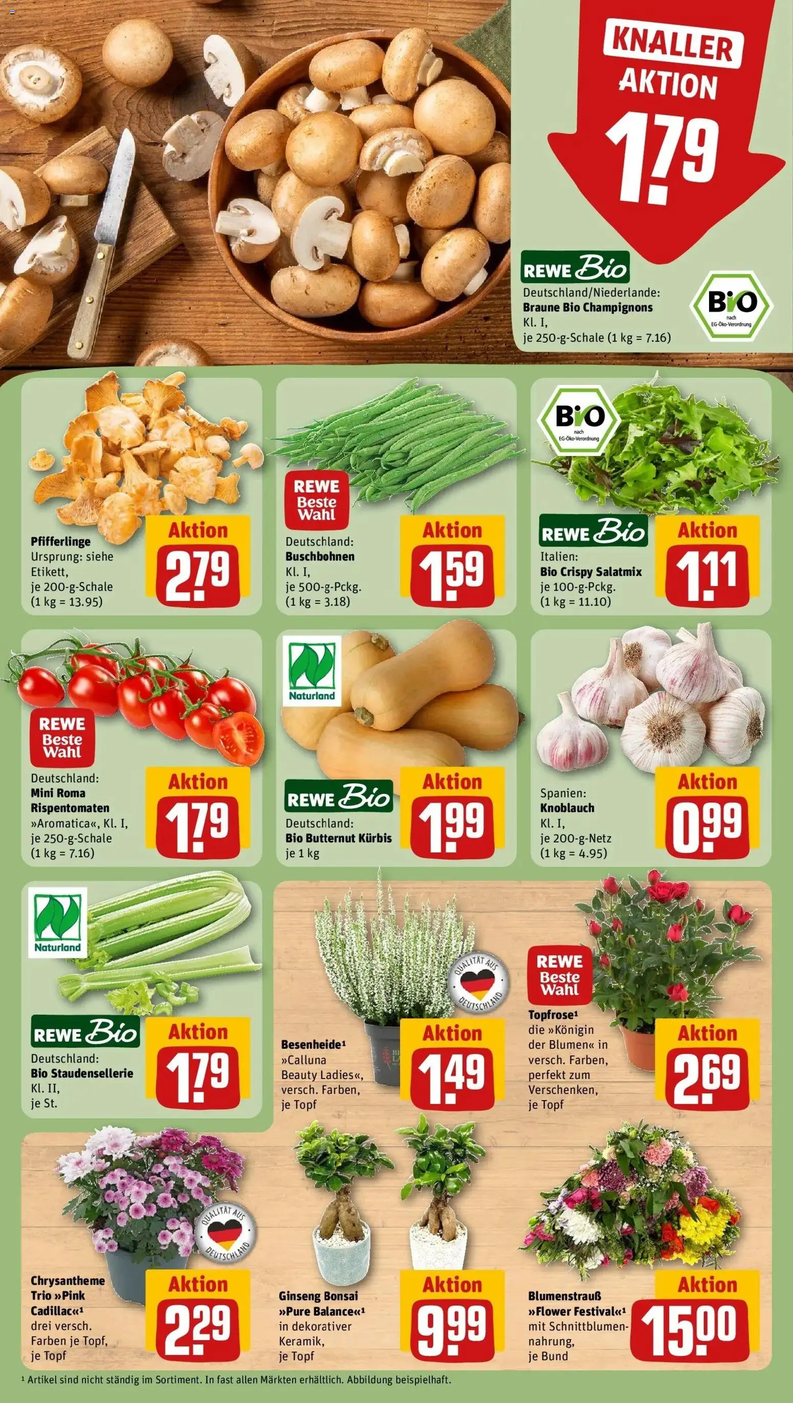 REWE Prospekt ab 31.08.2026 zum Blättern » Angebote | Seite: 7 | Produkte: Blumen, Champignons, Pfifferlinge, Kürbis