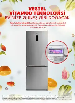 03.06.2025 tarihinden itibaren geçerli olan Vestel kataloğu önizlemesi | Sayfa: 17 | Ürünler: Çilek, Sebze, Meyve, Sebzeler