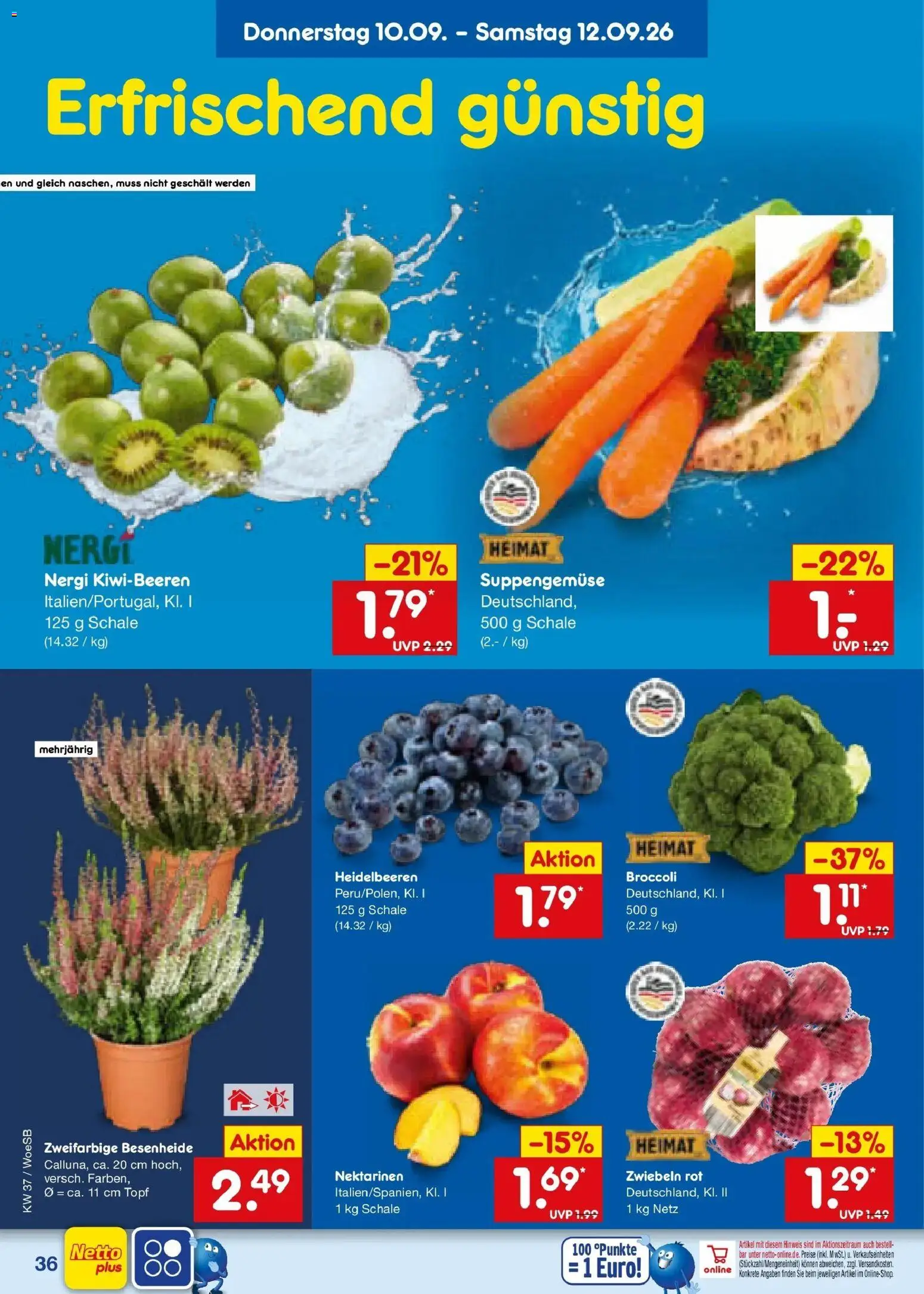 Netto Marken-Discount Prospekt Gemmingen – gültig ab 07.09.2026 | Seite: 52 | Produkte: Nektarinen, Heidelbeeren, Zwiebeln