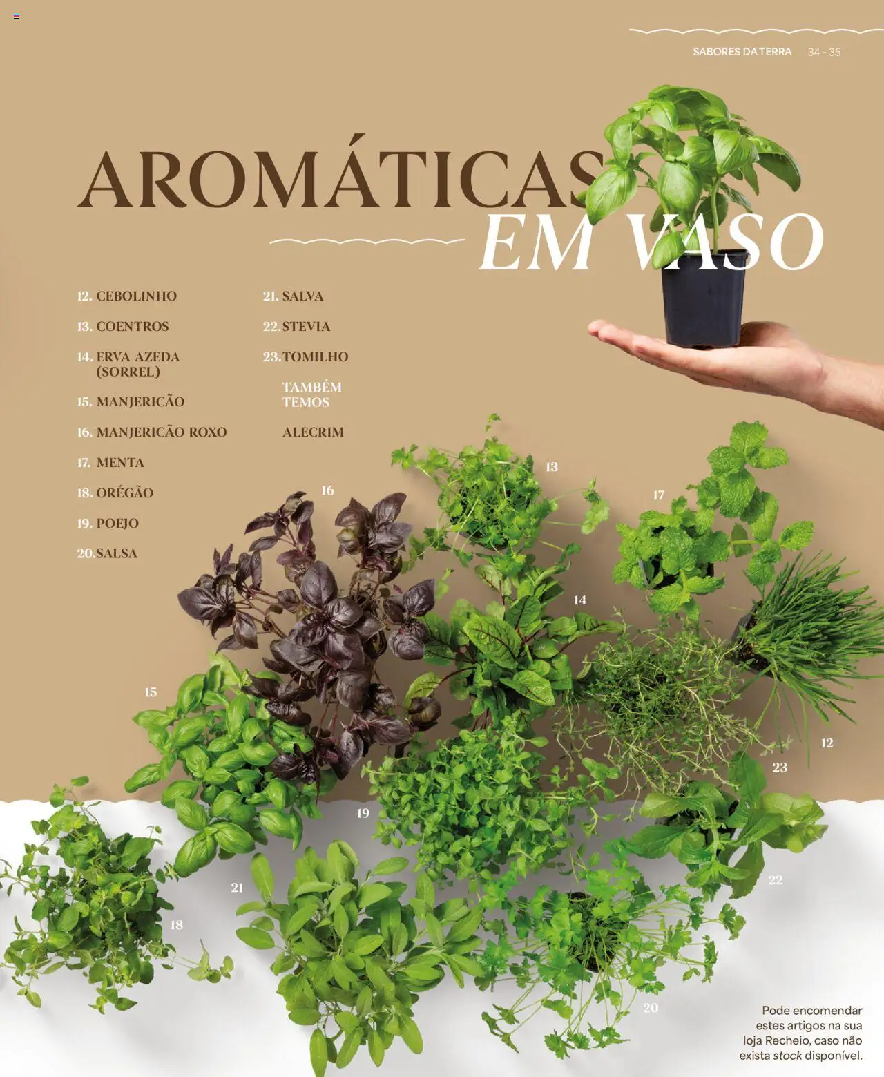 Recheio - Recheio da Terra │ válido de 25/09/2025 | Página: 35 | Produtos: Vaso