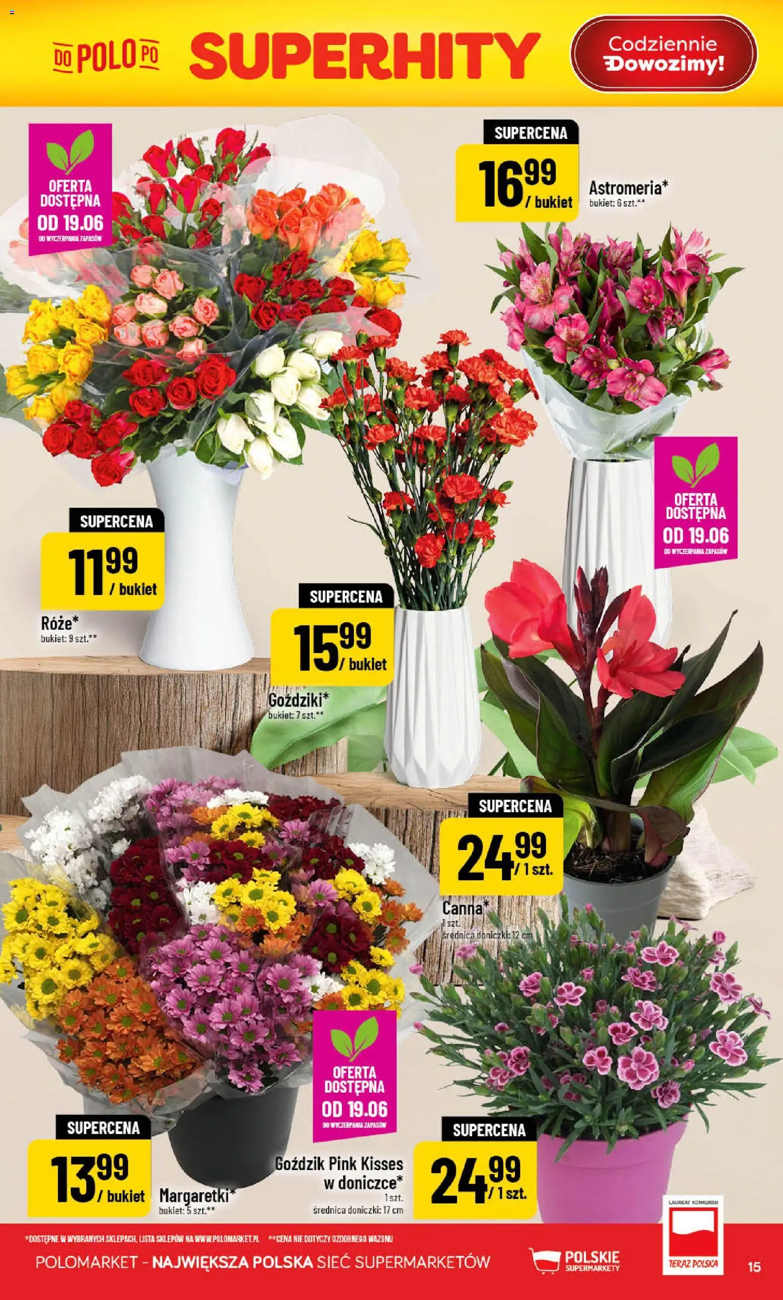 POLOmarket gazetka od 17.06.2026 | Strona: 15 | Produkty: Goździk, Doniczki