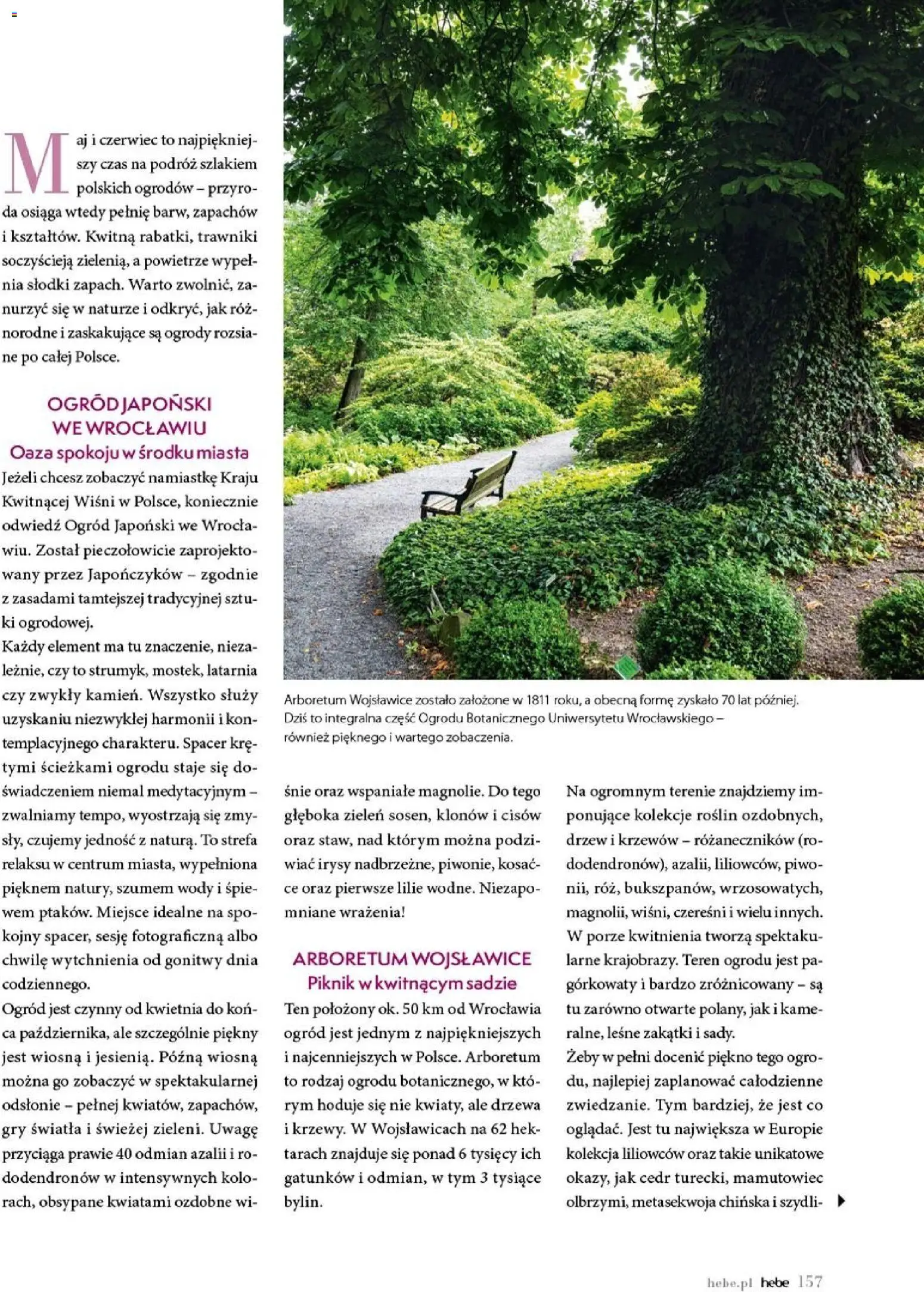 Hebe gazetka - Magazyn od 01.05.2026 | Strona: 157