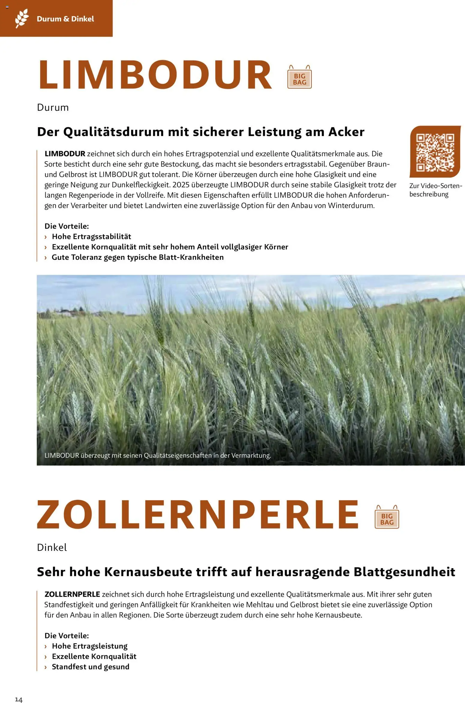 Lagerhaus Fachblatt Saatgut Herbst gültig ab 22.07.2026 | Seite: 14
