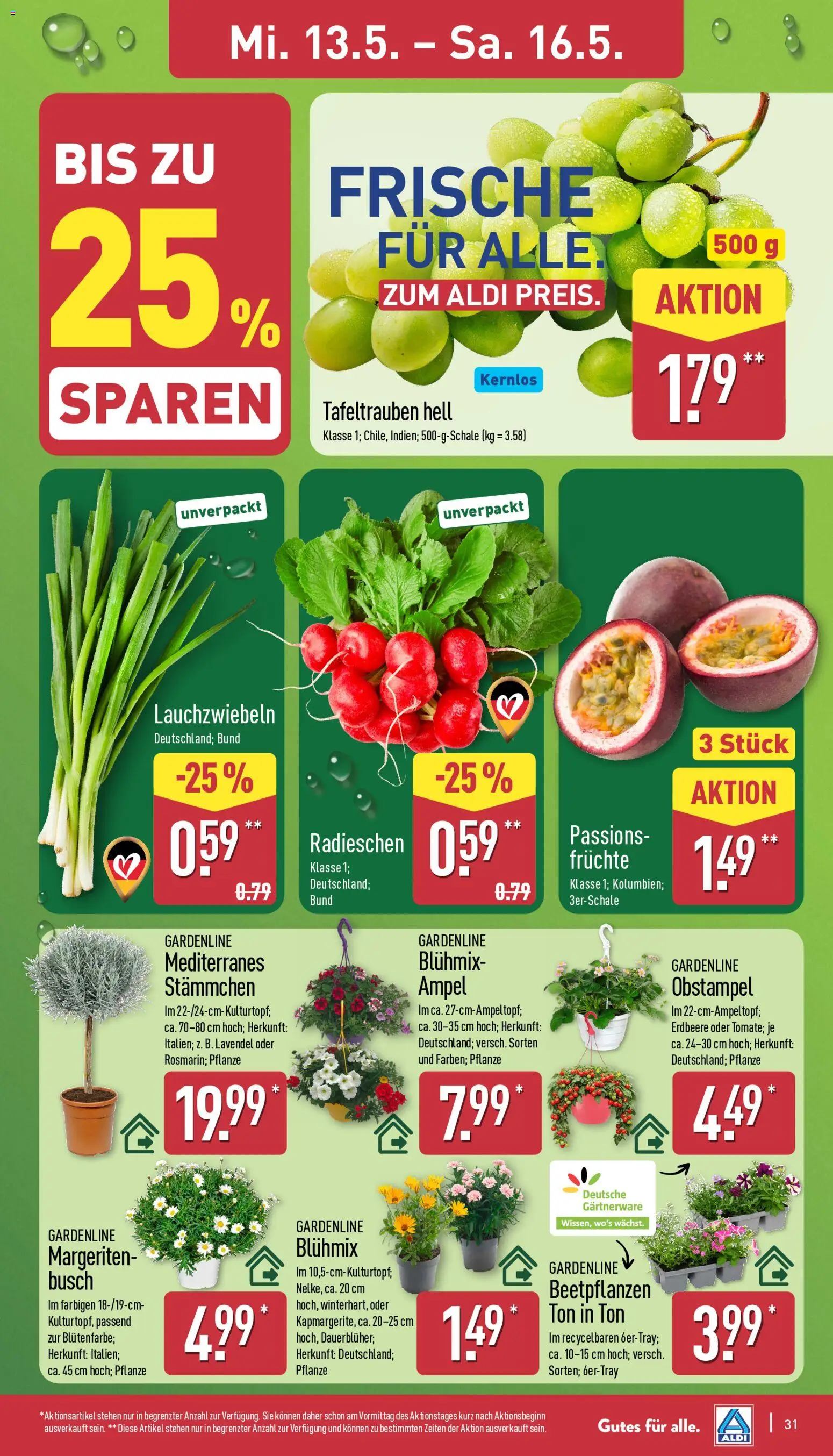 Aldi Prospekt 	 – gültig ab 11.05.2026 | Seite: 31