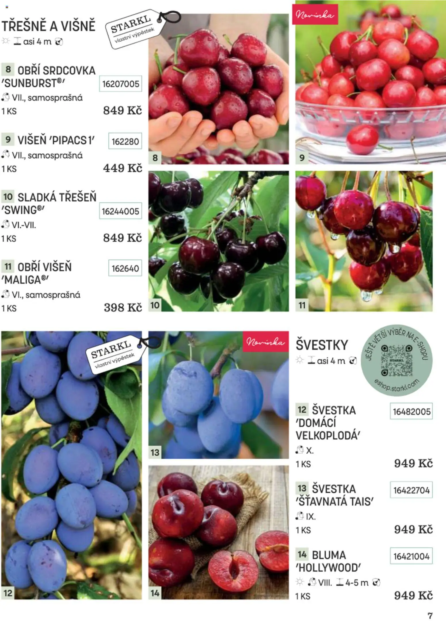 Starkl katalog Podzim 2026 od 01.09.2026 | Strana: 7 | Produkty: Švestky, Třešně