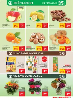 Spar katalog akcije – veljaven od 14.10.2026 | Stran: 12 | Izdelki: Šampinjoni, Buče, Indijski oreščki, Šopek