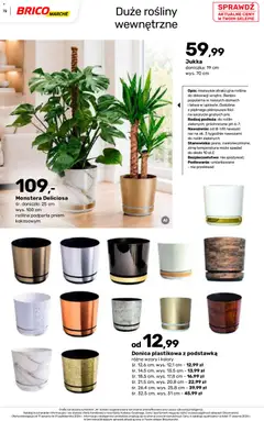Pogląd oferty "Brico Marché gazetka - Jesienne Inspiracje" - ważna od 17.08.2026 | Strona: 72 | Produkty: Doniczka, Rosliny, Monstera deliciosa, Doniczki