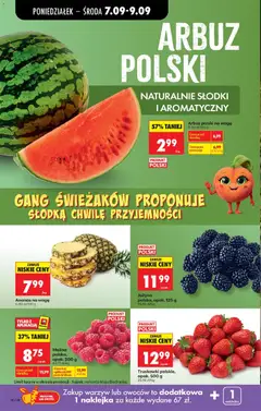 Pogląd oferty "Ananas na wagę, Ananas na wagę" - ważna od 07.09.2026 | Strona: 24 | Produkty: Arbuz, Malina, Ananas, Owoce