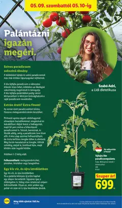 Lidl akciós újság - amely érvényes a következő dátumtól: 07.05.2026 | Oldal: 48 | Termékek: Melegszendvicskrém, Paradicsom, Pohár