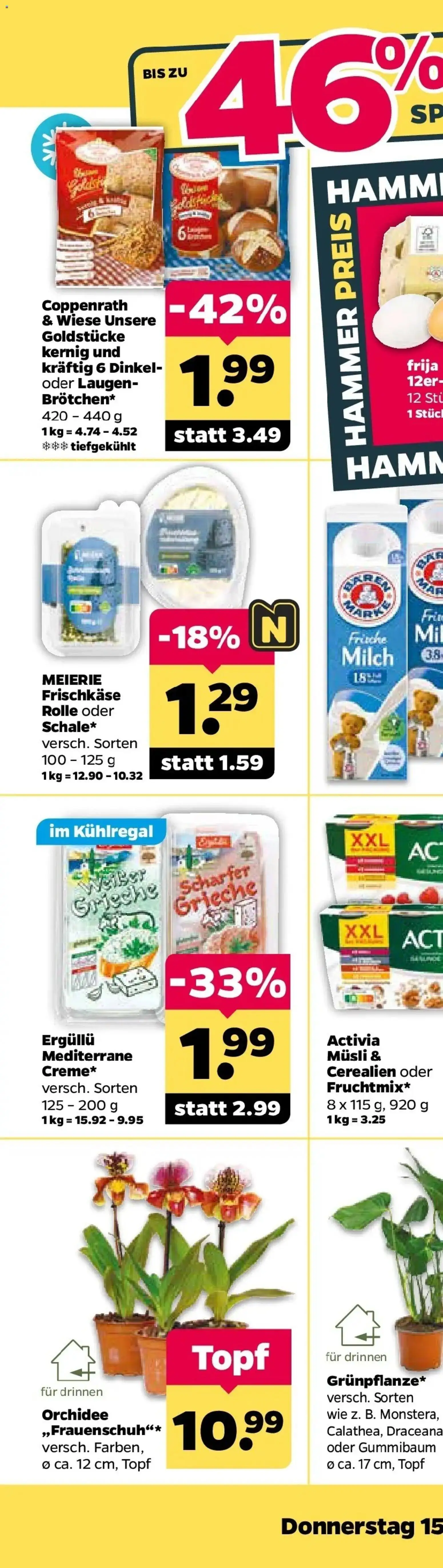 Netto Aktueller Prospekt ab 12.10.2026 → Angebote nächste Woche | Seite: 67 | Produkte: Activia, Milch, Orchidee, Frischkase