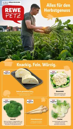 Rewe Prospekt Betzdorf ab 28.09.2026 gültig