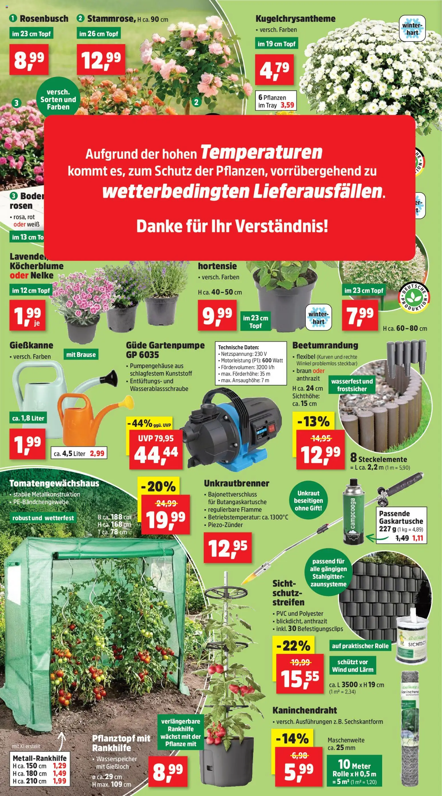 Thomas Philipps Prospekt – gültig ab 29.06.2026 | Seite: 2 | Produkte: Hortensie, Lavendel