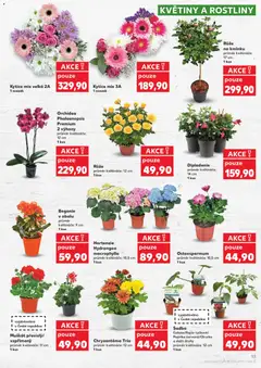 Náhled letáku Kaufland leták od 29.04.2026 | Strana: 13