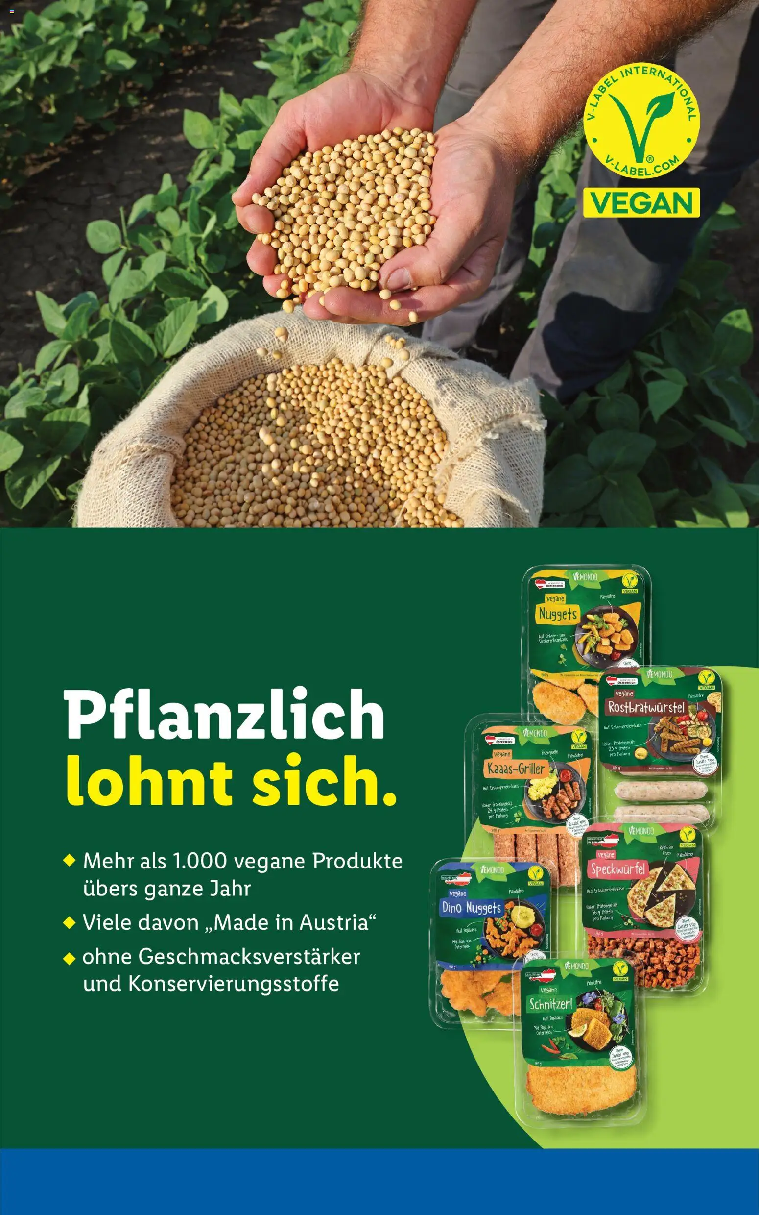 Lidl - Flugblatt gültig ab 13.05.2026 | Seite: 48