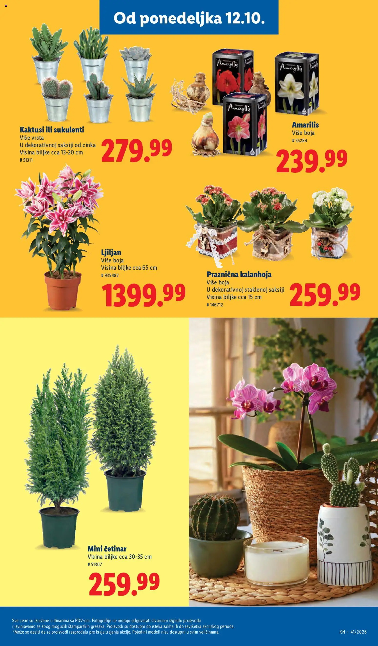 Lidl katalog - važi od 08.10.2026 | Strana: 75
