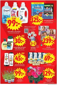 PELARGONER ZONALE, Sverige. 12 cm kruka. 25-30 cm hög. Rosa, tvåfärgad/lila, röda och vita. - Förhandsvisning av reklamblad från butik ICA Maxi aktuell från 27.04.2026 | Sida: 10 | Produkter: Balsam, Sköljmedel, Galler, Kattmat